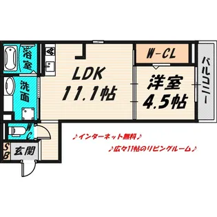 サウスメゾンサファニア【2階】の間取り