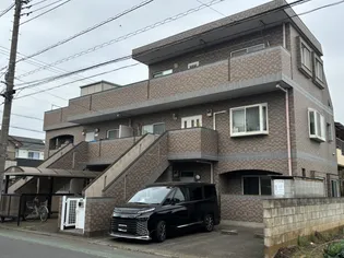 ラークスパーの画像