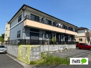 ラフィーネの画像