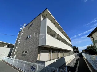 ブッシュ クローバー VIIの画像