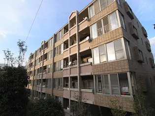 エリジオンの画像