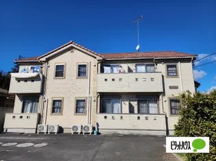 タタラバードの画像