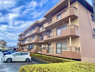 ソレイユIIの画像