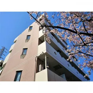 アネックス船堀の画像