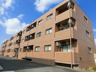 グランフィル紫竹山の画像