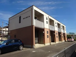 フロール カスティージョの画像