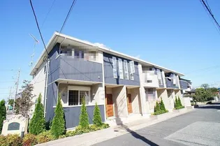 フェリスミーサの画像