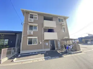 コーラルの画像