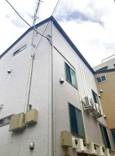 ロータスIIの画像