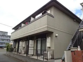ハイムハマキの画像