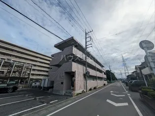 フォレストジョウエイの画像