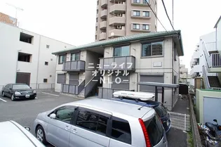 グレイスMの画像