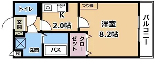 GROOVE南草津II【4階】の間取り