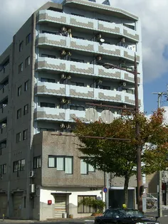 ロイヤルMの画像