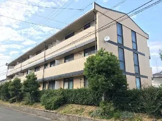 静岡県浜松市中央区大平台4【マンション】の外観