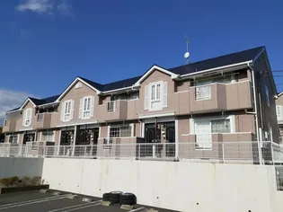 ベルウッド 381 Bの画像