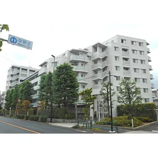 ルフォン中野上鷺宮壱番館(013057)【4階】の外観