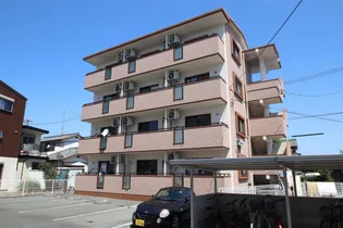 AKOYA PERLEIの画像