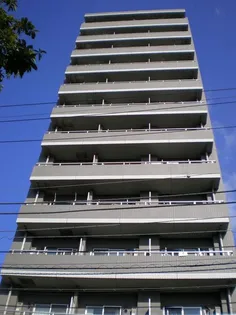 トランスパレントの画像