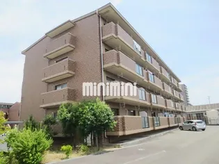 セルサスコロクの画像