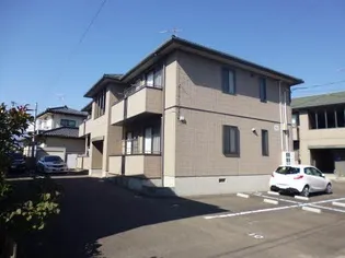 ベルメゾンBの画像