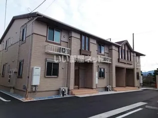 SUNNY FLOWER Ⅰの画像