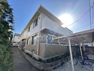 バンビーニの画像