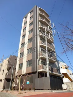 STELLA SENDAIZAKAの画像