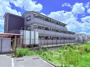 サンフォレストスギモトの画像