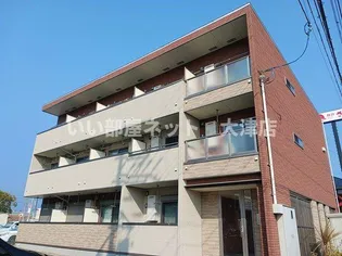 フリージアの画像