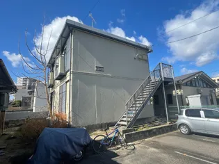 アオキの画像