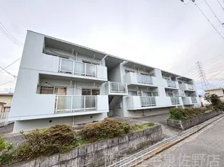 泉ハイツの画像