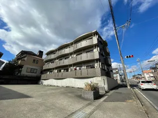 ドリームハイツルナ【1階】の外観