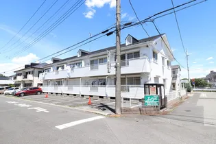 ホワイトバーチの画像