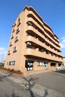 岡山県岡山市北区上中野2【マンション】の外観