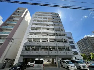 Castle2【9階】の外観