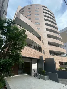 オーパスホームズ白山【9階】の外観