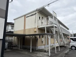 パナハイツサルビアの画像