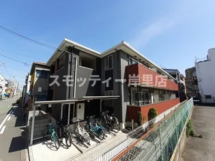 プリムローズの画像