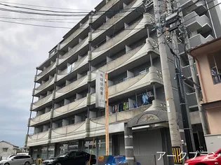 トレインビューの画像