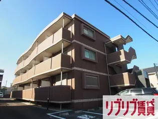 フェリシタージの画像