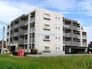 レグルスクレールの画像