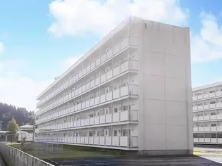 ビレッジハウス八尾3号棟【1階】の外観