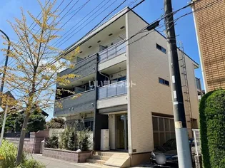 サンライズ 白ゆりの画像