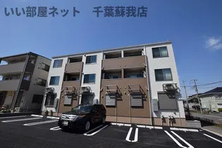 サンライズ ひまわりの画像