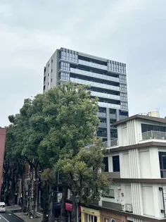 レーベン上通ザ・レジデンス【5階】の外観