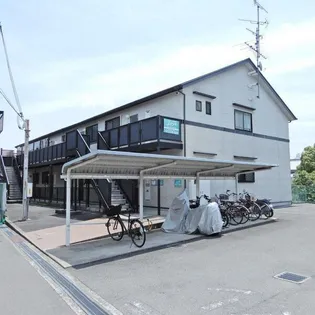 サニーヒルモリイの画像