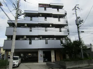 メゾンドールトキワ【4階】の外観