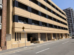 ハイムサンシルクの画像