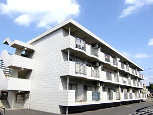 メマリス イーチの画像